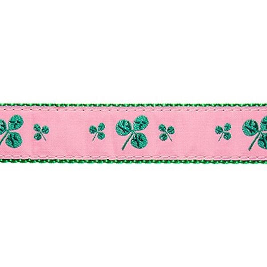 Preston Shamrocks Collars & Leads