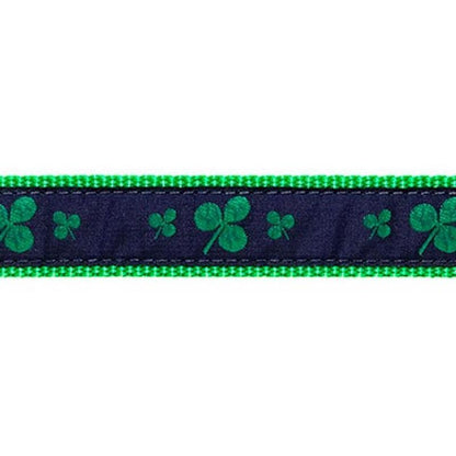 Preston Shamrocks Collars & Leads