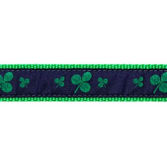 Preston Shamrocks Collars & Leads