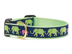 Up Country Leader of the Pach Collar & Leads