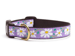 Up Country Daisy Collars & Leads