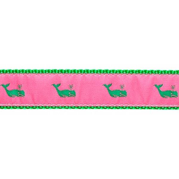 Preston Whales Collars & Leads