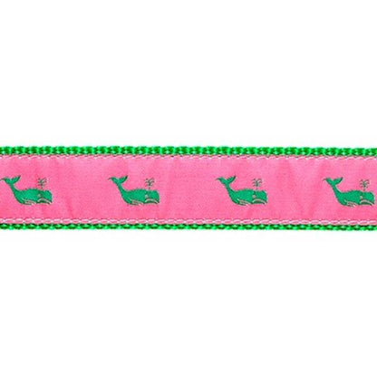Preston Whales Collars & Leads