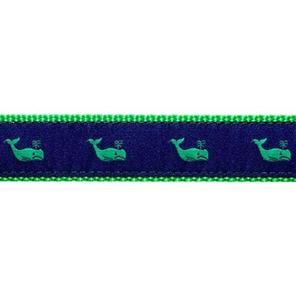 Preston Whales Collars & Leads