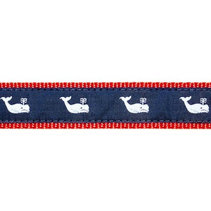 Preston Whales Collars & Leads