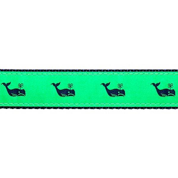 Preston Whales Collars & Leads