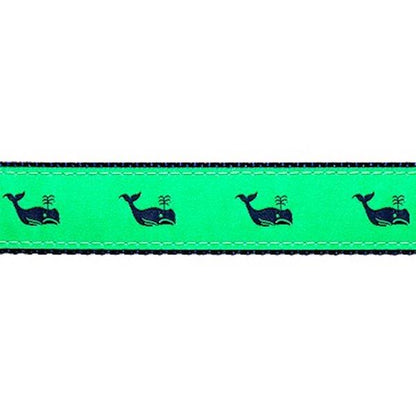 Preston Whales Collars & Leads